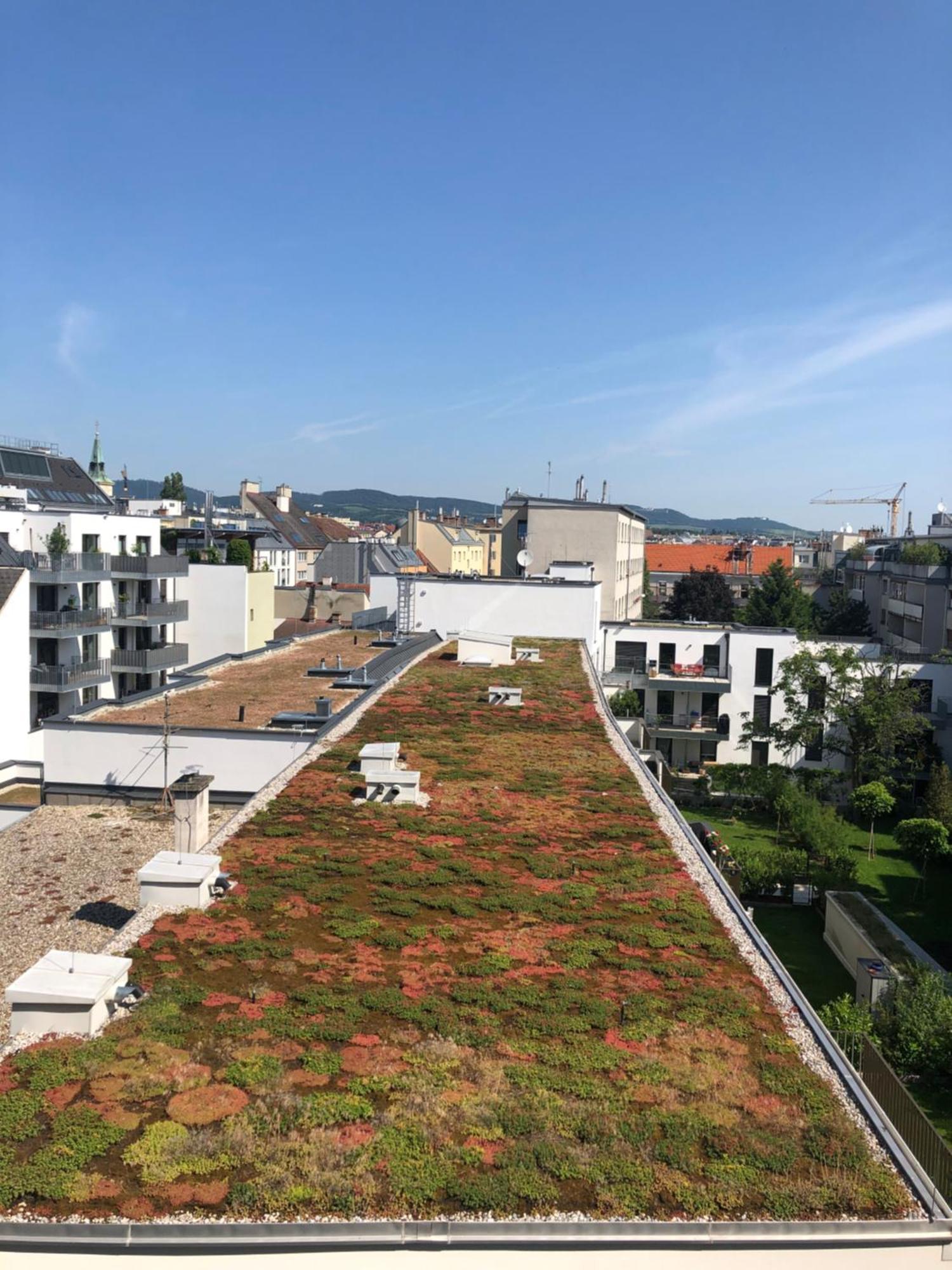 Vienna Sunny Side Up Apartments Luaran gambar